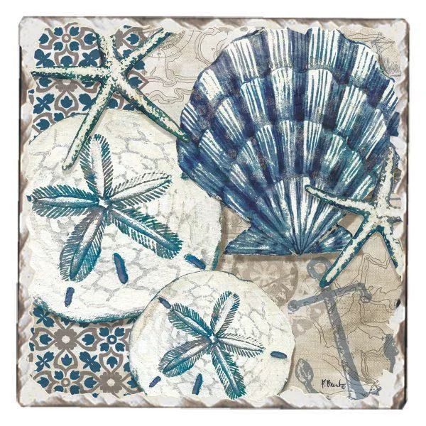 Absorbent Stone Coaster – Tide Pool Shells
