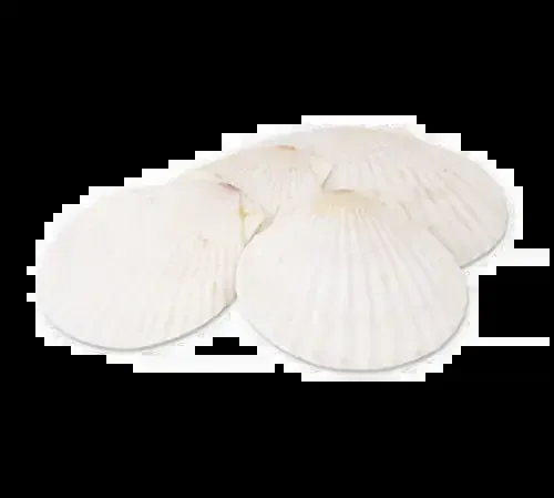 Alegacy Foodservice Products 664 Baking Shell