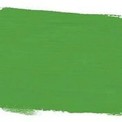 Antibes Green 120ml Chalk Paint by Annie Sloan