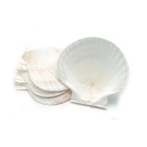 Baking Shells Set of 4