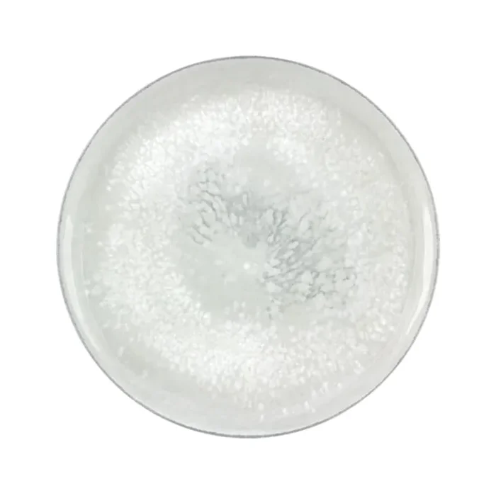 BauscherHepp 751217-425943 Smart Salt 6.7 In. Coupe Plate – 12 / CS