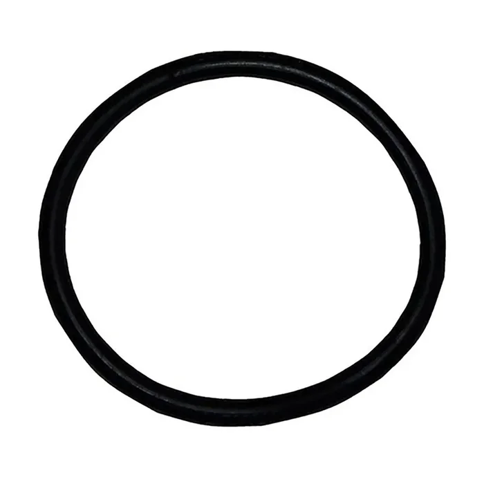 Bissell BGOR-23 Replacement Belt for BG100/101/102/107