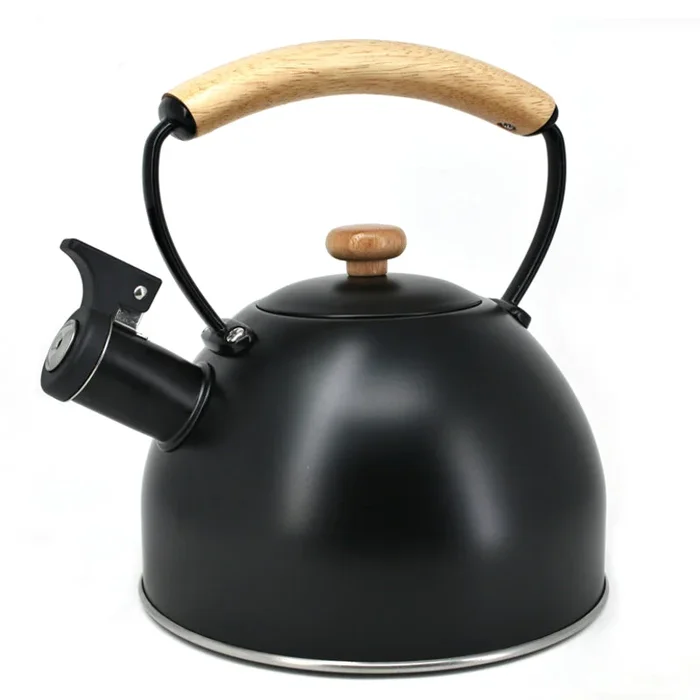 Bouilloire sifflante noire mate 2,5 L
