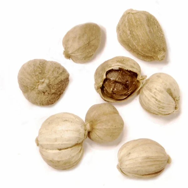 Cardamome blanche chinoise 15g – Épices de cru