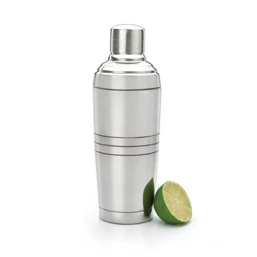Double Wall Insulated Shaker Set, Stainless 19 OZ