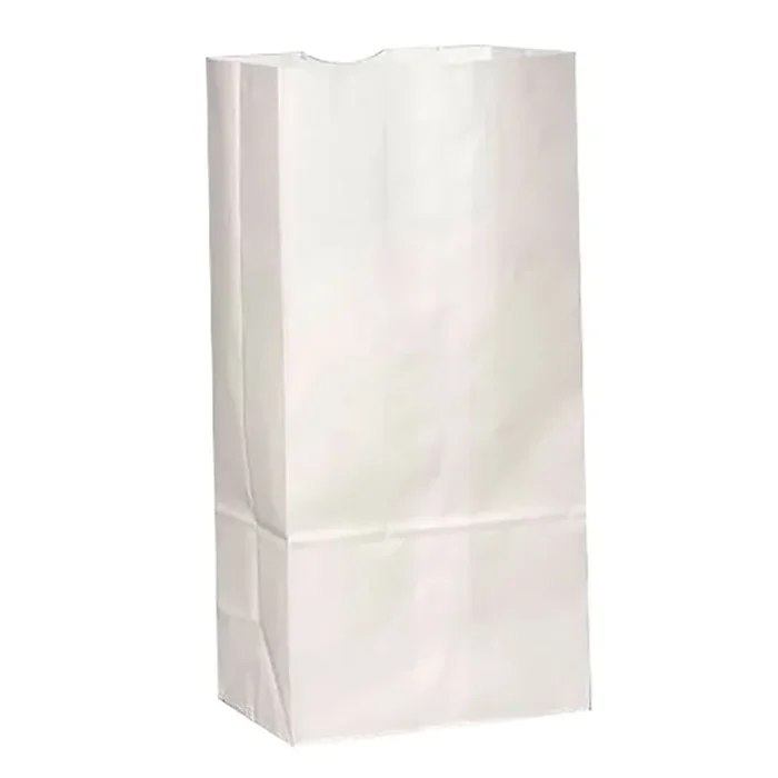 Duro 51002 White 2 Lb Paper Bag – 500 / CS