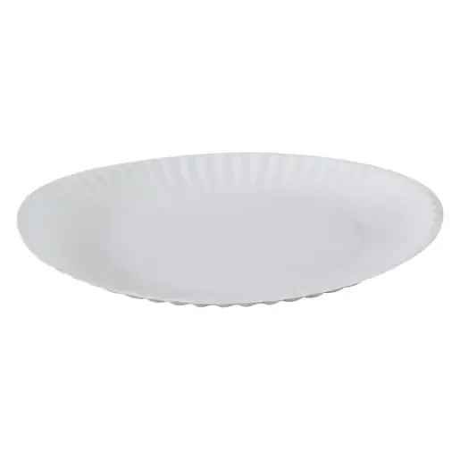 Empress E30400 00066 Uncoated Paper Plate 9″ White