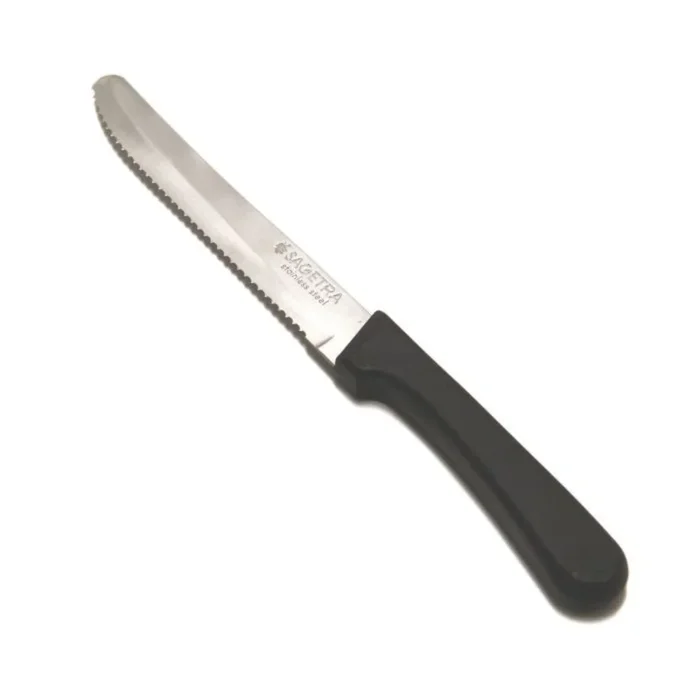 Ensemble de 12 couteaux à steak 12 cm