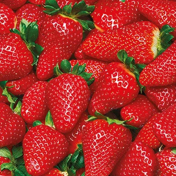 Ensemble de 20 serviettes de table en papier Fraises