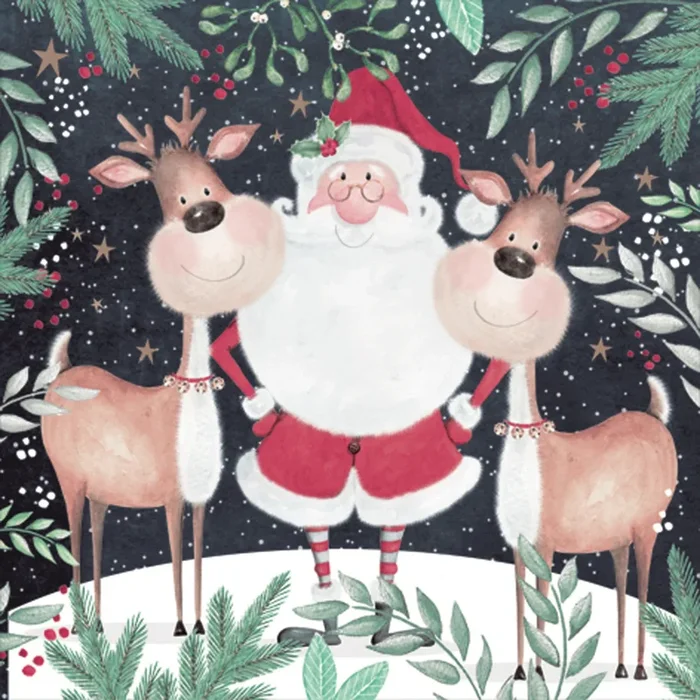 Ensemble de 20 serviettes de table en papier père Noël et Rennes