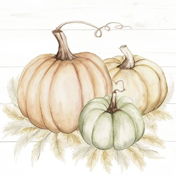 Ensemble de 20 serviettes de table en papier Trio de citrouilles