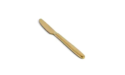 FOH FDK008GOS23 9.25″ Luca Dinner Knife – Matte Brass