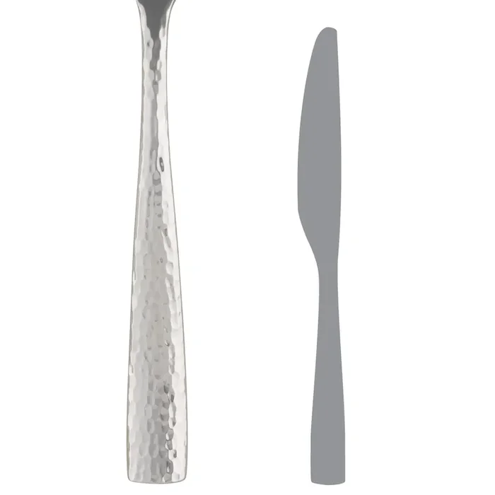 Folio 5729SX042 Alison 9-1/8″ Dinner Knife – Dozen