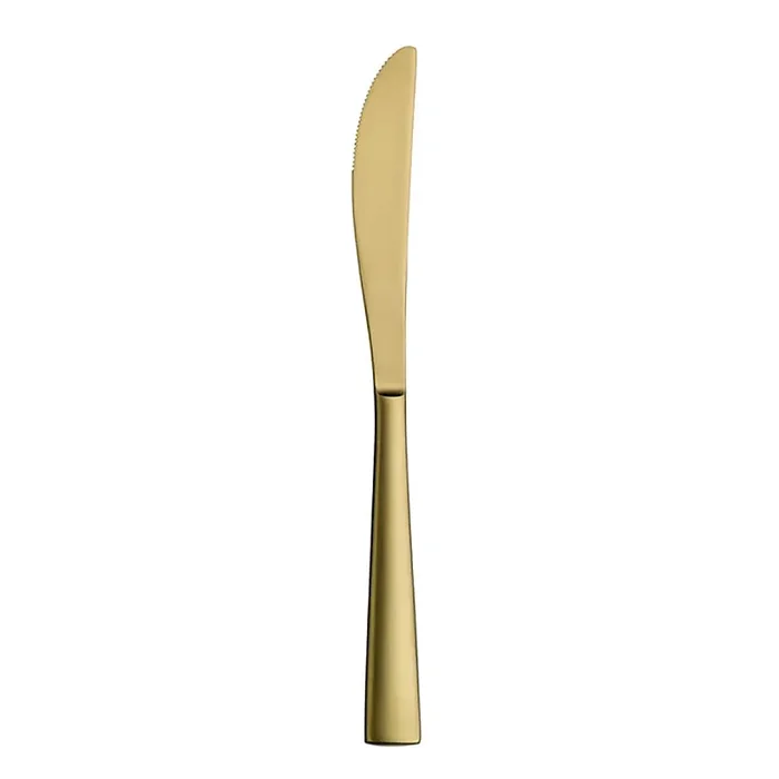 Hepp 59.0053.9182 Accent Gold 9-1/8″ Table Knife – Dozen