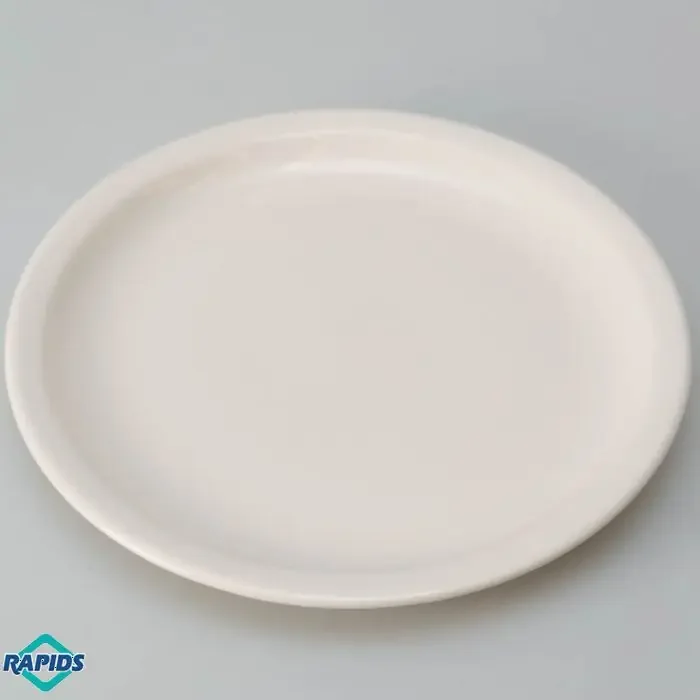 ITI China 10-1/2″ Plate, Narrow Rim American White, Valencia Collection (12/cs)