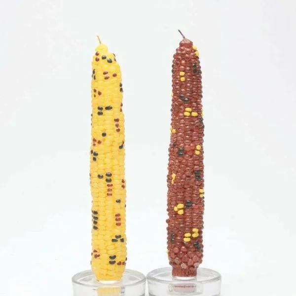Multi Harvest Corn Taper Candles Set-2