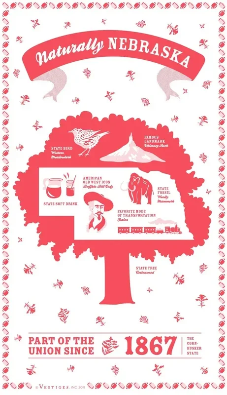 Nebraska Kitchen Towel