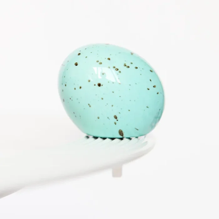 Nora Fleming – eggstra-ordinary (robin egg) A426