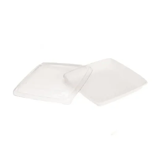 PacknWood 210APOUP1000 Square White Sugarcane Plate
