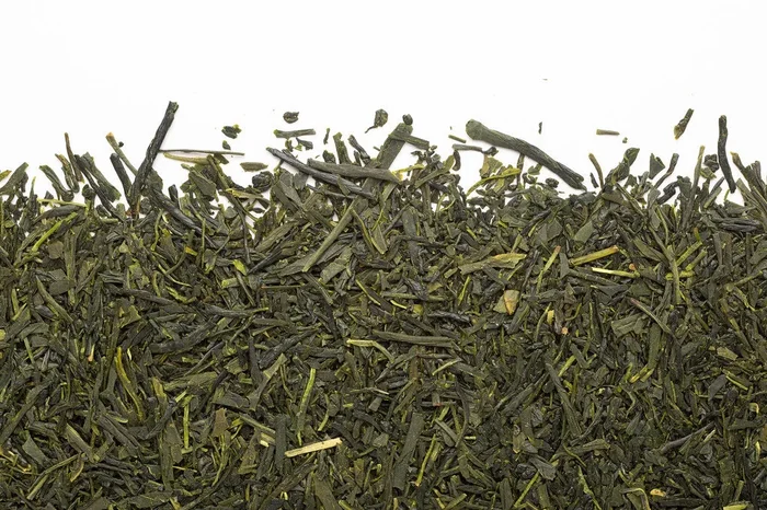 Thé vert sencha nagashima biologique 50g – Camellia Sinensis