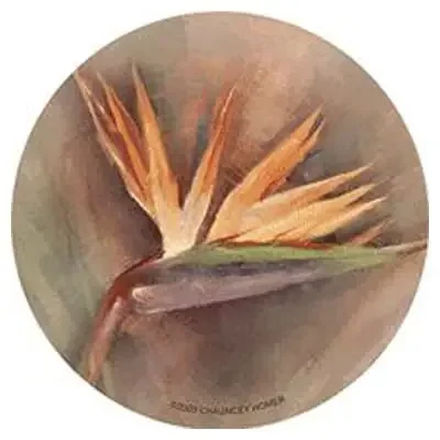 Thirstystone TSCH24 Bird of Paradise Sandstone Coaster – 4 / ST